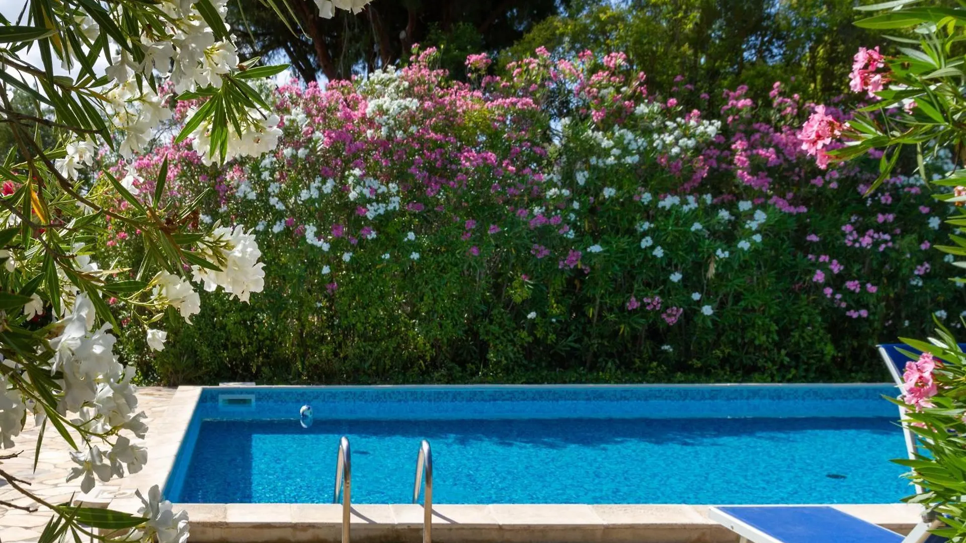 Trilo Begonia Villa Marina di Grosseto Farm stay