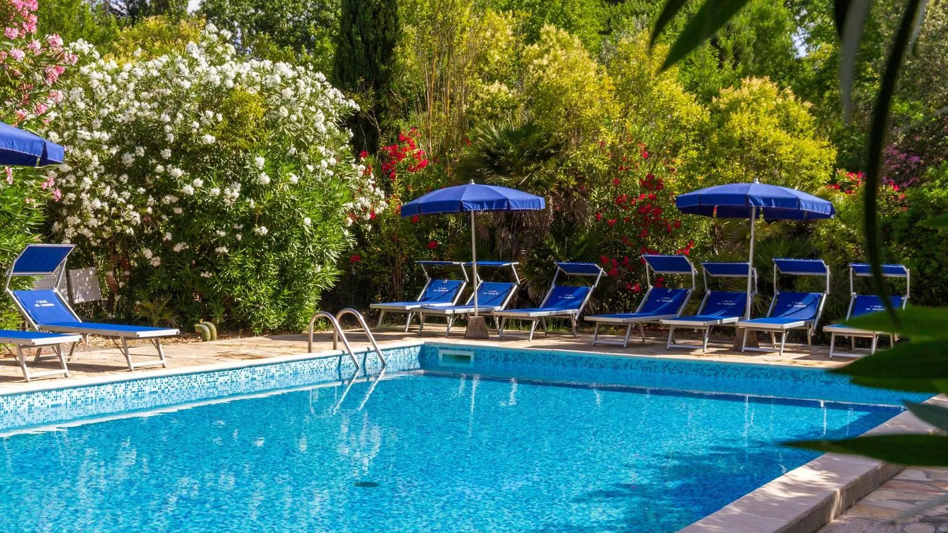 Farm stay Trilo Begonia Villa Marina di Grosseto Italy