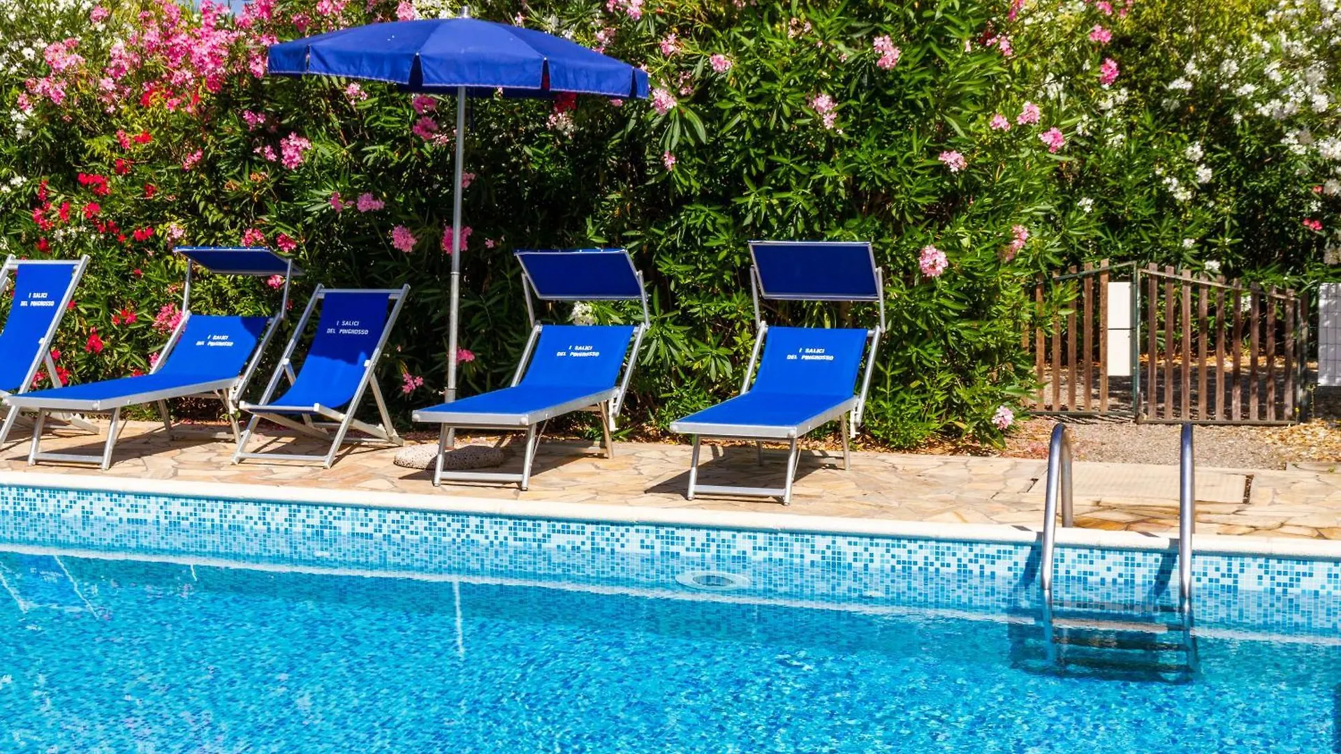 Trilo Begonia Villa Marina di Grosseto