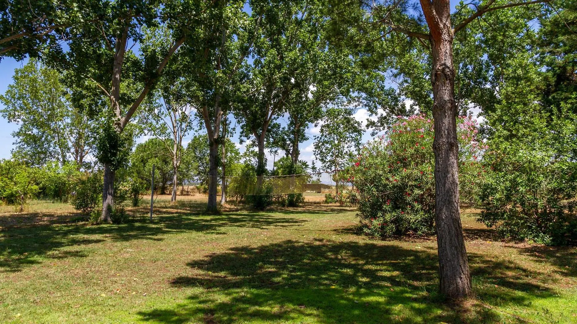 Farm stay Trilo Begonia Villa Marina di Grosseto Italy